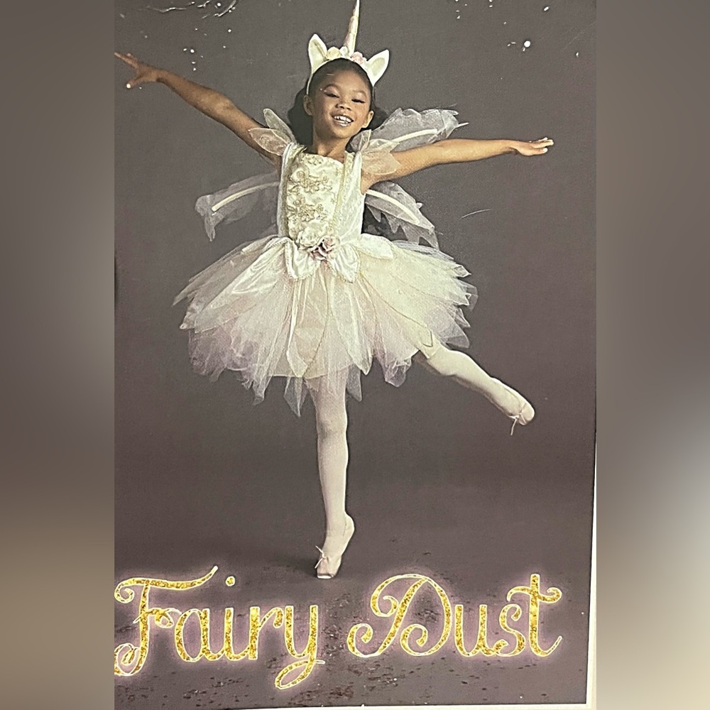 Unicorn fairy costume (NWT) 3T